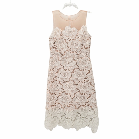 julia jordan Dresses & Skirts - JULIA JORDAN White Lace Overlay & Dust Pink Mesh A-Line Dress 10